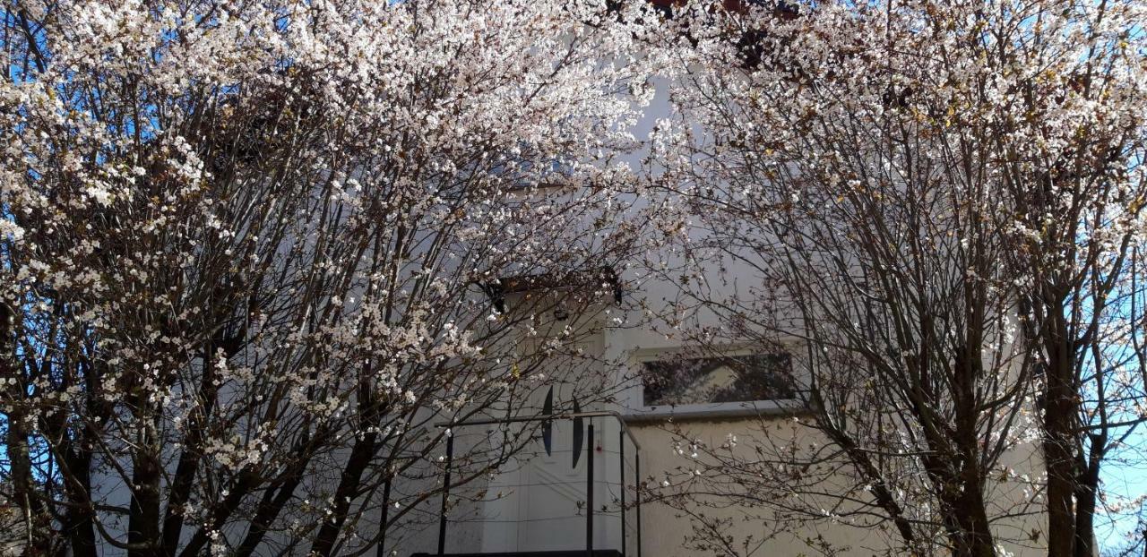 Apple Tree Apartment Zagreb Exterior photo